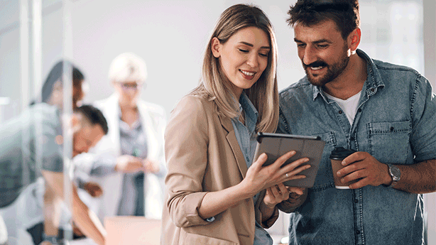 Digital and Technology Audit Tool: Digital Accessibility Standards