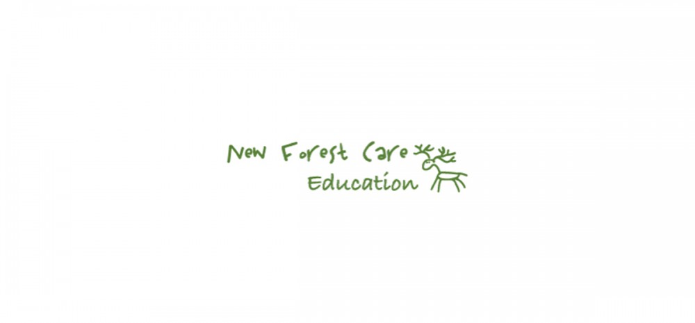 Image of New Forest School